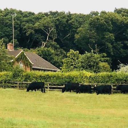 Higher Bockhampton Yellowham Farm, Dorchester المظهر الخارجي الصورة