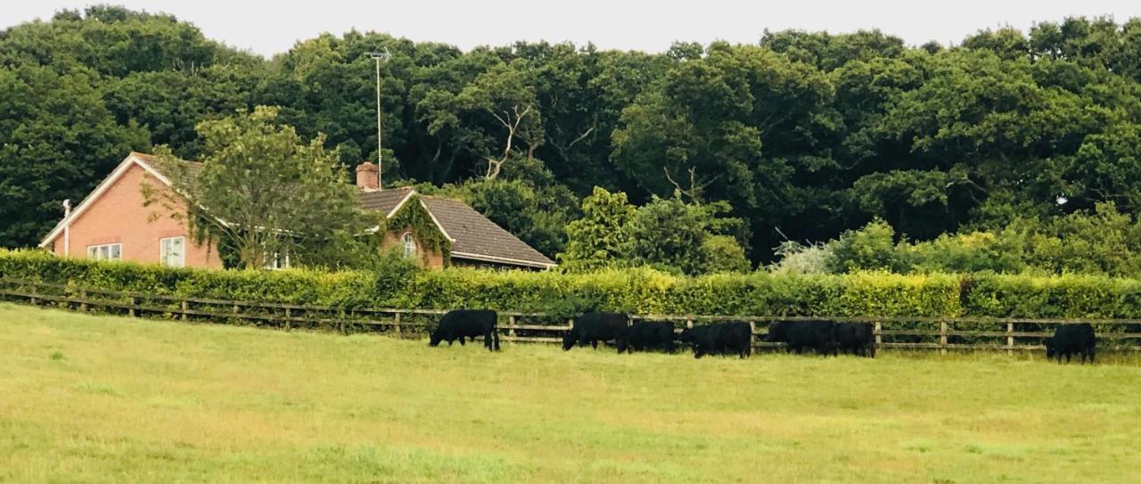Higher Bockhampton Yellowham Farm, Dorchester المظهر الخارجي الصورة