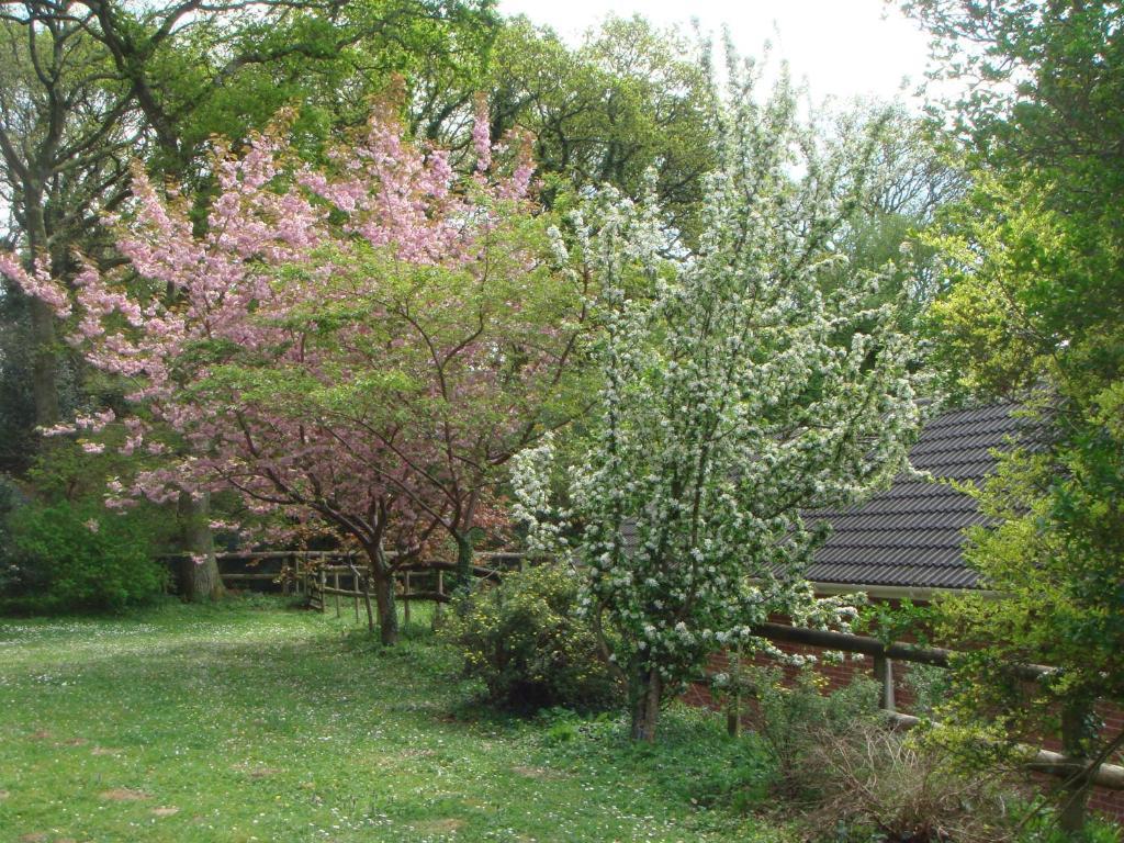 Higher Bockhampton Yellowham Farm, Dorchester المظهر الخارجي الصورة