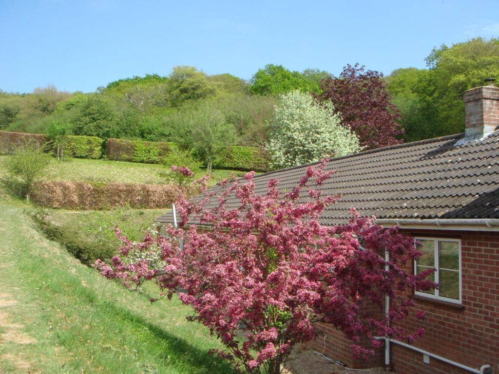 Higher Bockhampton Yellowham Farm, Dorchester المظهر الخارجي الصورة