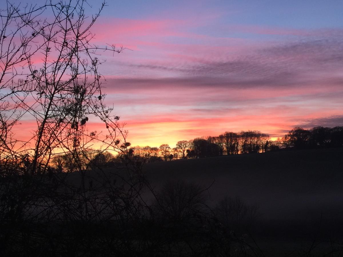Higher Bockhampton Yellowham Farm, Dorchester المظهر الخارجي الصورة