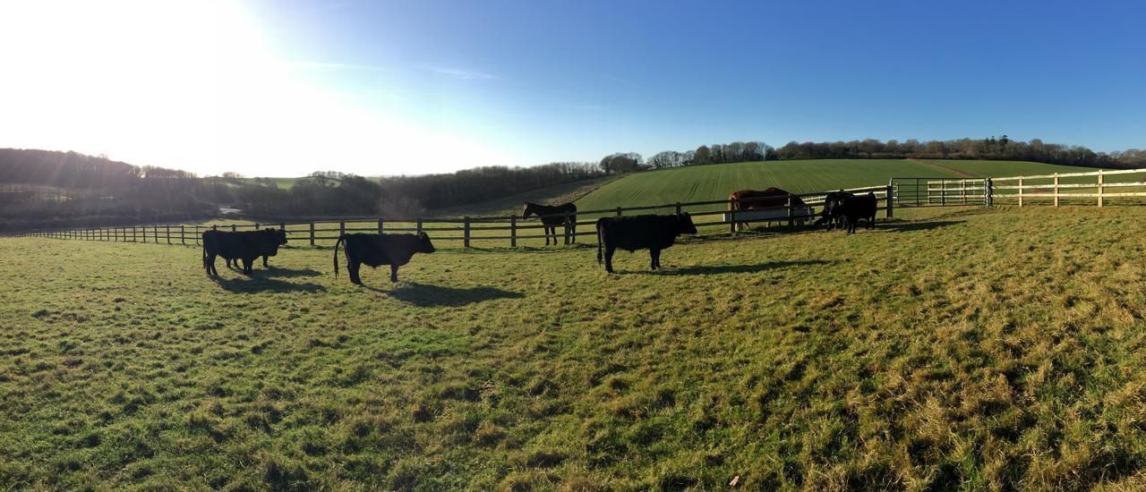 Higher Bockhampton Yellowham Farm, Dorchester المظهر الخارجي الصورة